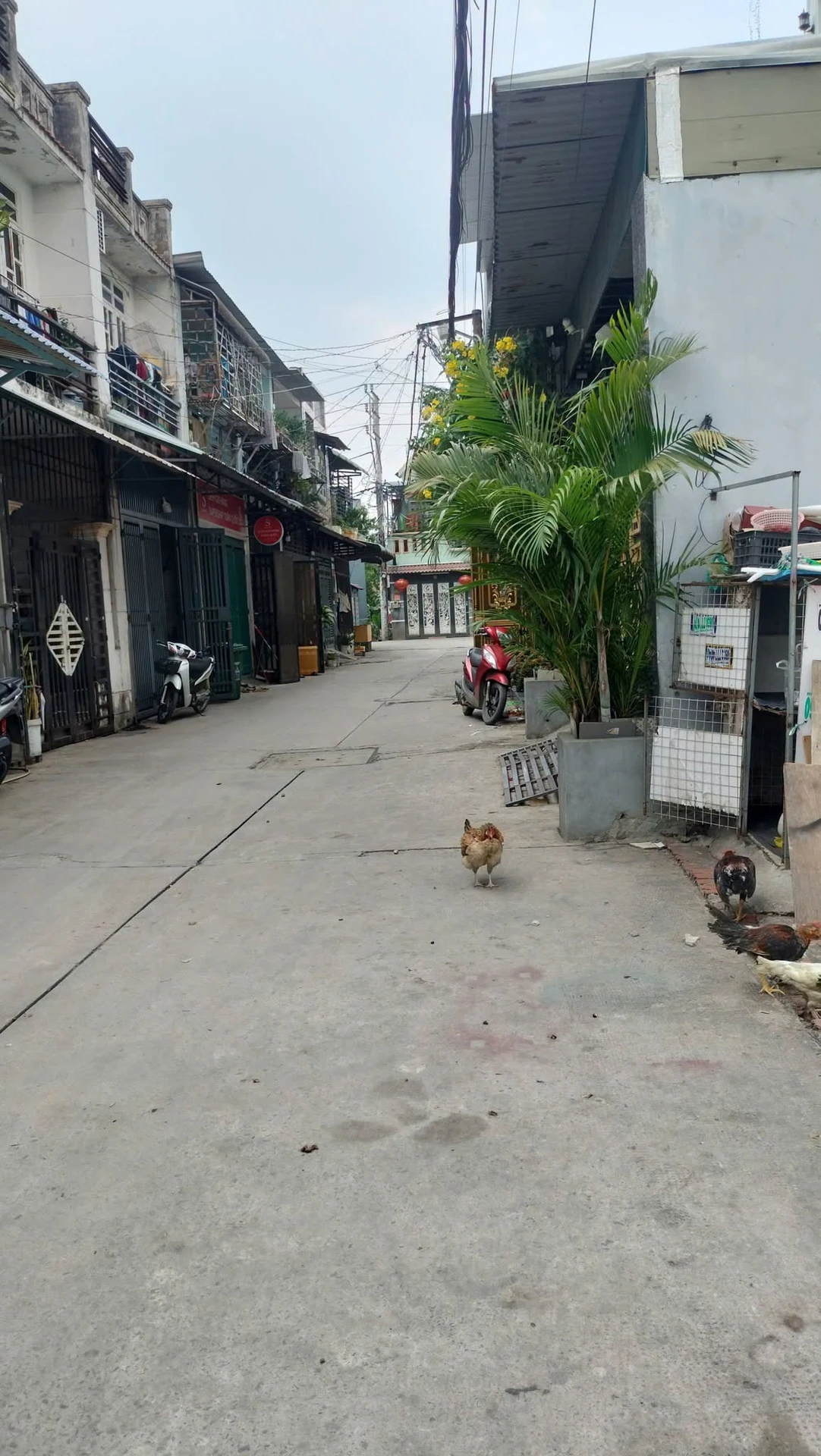 Bán đất nền Võ Văn Vân Bình Chánh 150m² 4 tỷ 8 - Ảnh 1