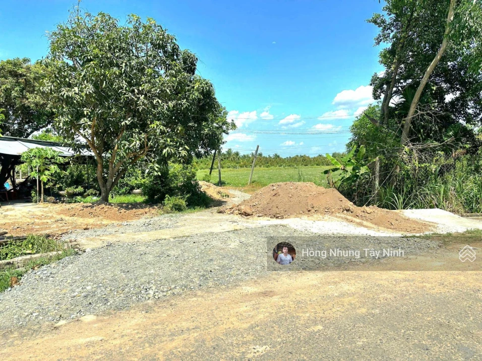 420tr, 6x40m thổ cư gần KCN Phước Đông - Ảnh thu nhỏ 2