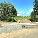 420tr, 6x40m thổ cư gần KCN Phước Đông - Ảnh thu nhỏ 2