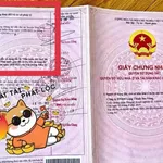 Bán đất thổ cư 90m2 giá 900 triệu tại Hòa Khánh Đông, Đức Hòa, Long An - Ảnh thu nhỏ 3