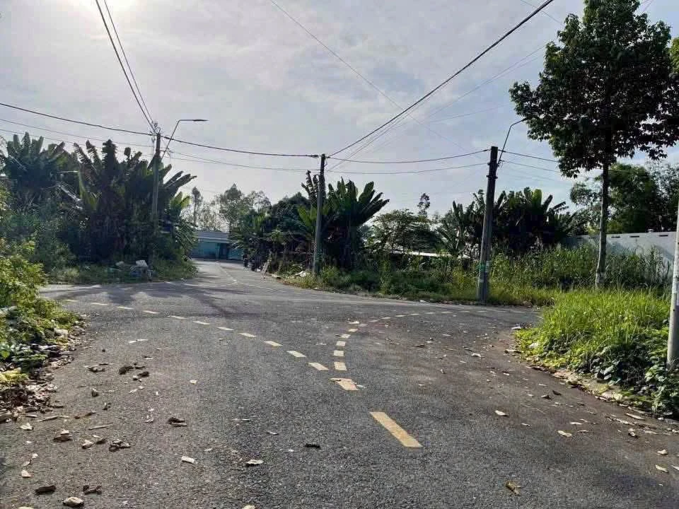 Bán đất nền mặt tiền Nguyễn Thái Bình 100m2 thổ cư, Lấp Vò, Đồng Tháp, giá 830 triệu - Ảnh thu nhỏ 2