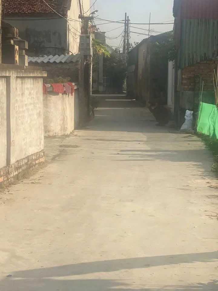 Bán đất 73m² Cẩm Giàng, Hà Nội, giá 600 triệu - Ảnh thu nhỏ 2