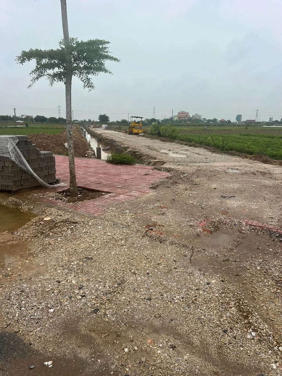 Bán 2 lô đất liền kề 108m² mặt tiền 6m tại Quỳnh Phụ, Thái Bình - Ảnh thu nhỏ 4