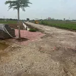 Bán 2 lô đất liền kề 108m² mặt tiền 6m tại Quỳnh Phụ, Thái Bình - Ảnh thu nhỏ 4