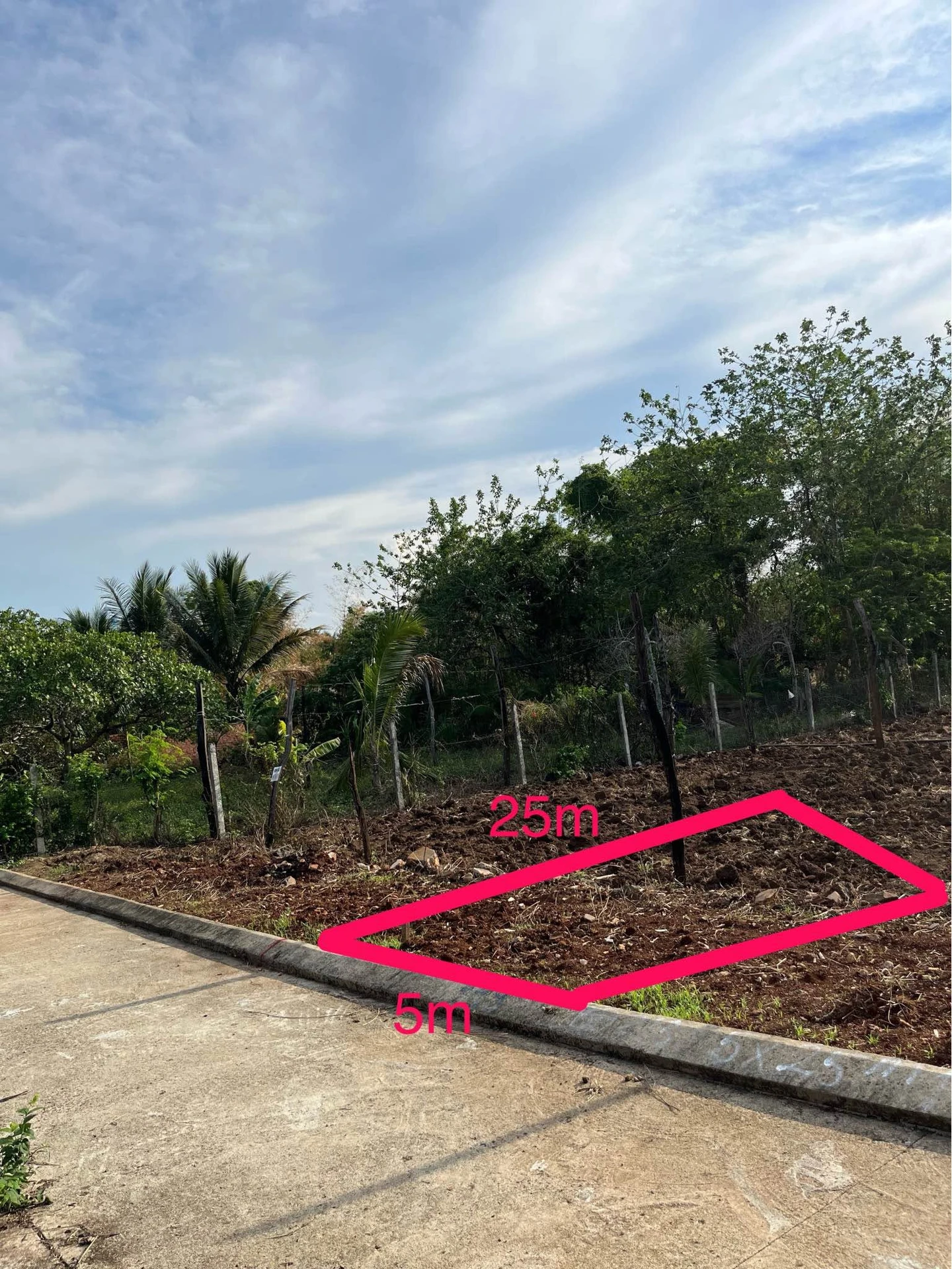Bán đất Phường Thạnh Nhất 125m2 giá 649 triệu - Ảnh 1