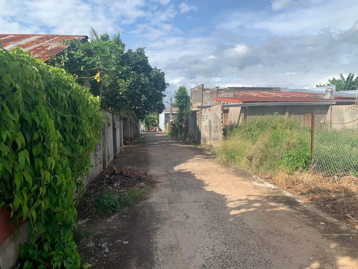Bán 2 lô đất thôn 3 Cưebur, Bình Chánh, 121,5 m² - Ảnh 1