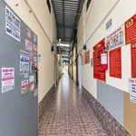 Bán dãy 18 phòng trọ 299,7m2 hẻm 147 Nguyễn Văn Cừ, Cần Thơ, giá 10,5 tỷ - Ảnh thu nhỏ 3