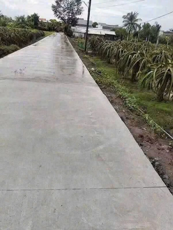 Bán đất nông nghiệp 1.000 m² ở Châu Thành, Long An
