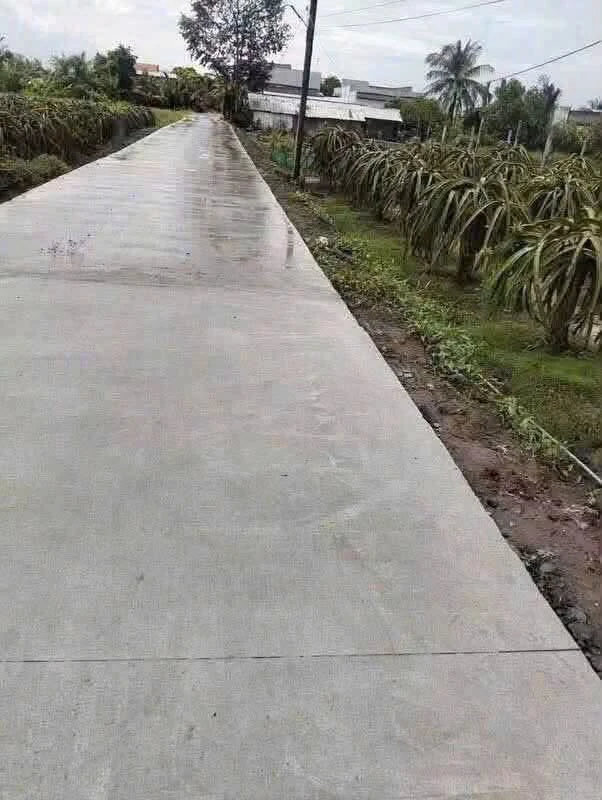 Bán đất nông nghiệp 1.000 m² ở Châu Thành, Long An - Ảnh 1