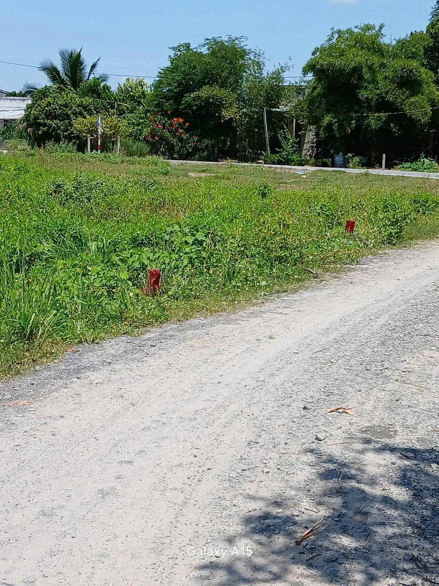 Bán lô đất 5x37m có 50m² thổ cư giá 249 triệu tại Xã Phan, Dương Minh Châu, Tây Ninh - Ảnh thu nhỏ 4