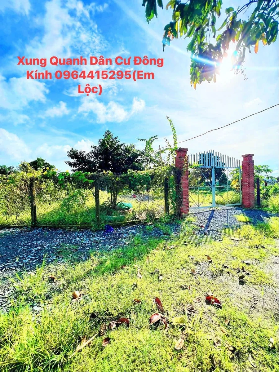 Bán 10.844m2 đất Tây Ninh, gần 1 mẫu, giá 2 tỷ 200 triệu - Ảnh thu nhỏ 2