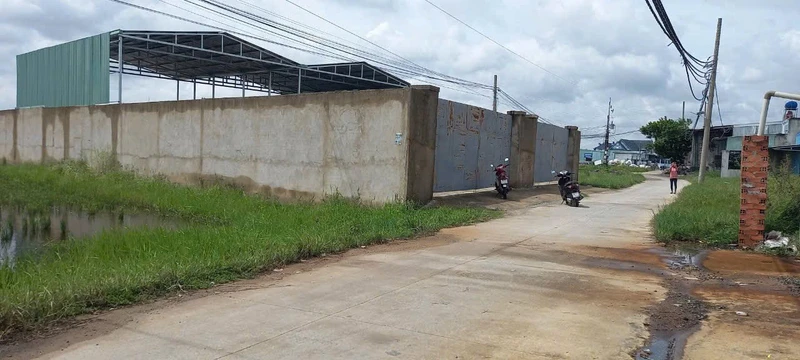 Bán đất thổ cư 11,6x43m hẻm nhựa Nguyễn Văn Dương, Đức Hòa Đông, giá 4,8 tỷ