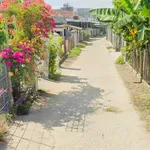 Bán lô đất 109m2 Trương Quang Trọng Nhà Bè - Ảnh thu nhỏ 3