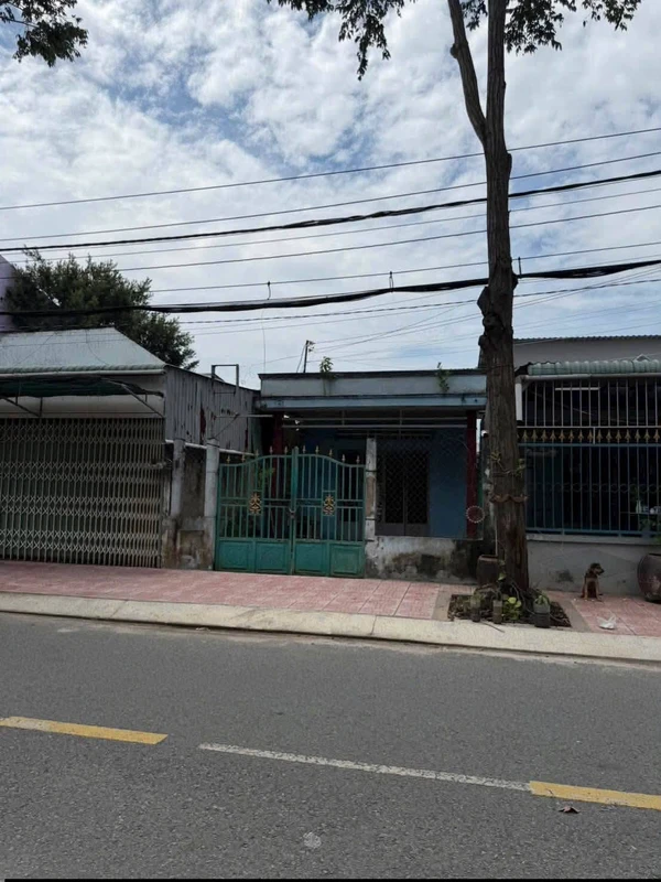 Bán nhà cấp 4 mặt tiền Huỳnh Thị Thanh 4 Tân An Long An 135 m² 3 tỷ 200 triệu