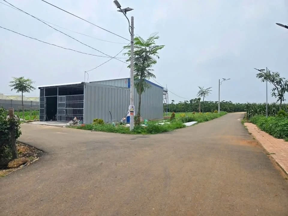 Bán lô góc 2 mặt tiền 72m² Lâm Đồng 790 triệu - Ảnh thu nhỏ 2