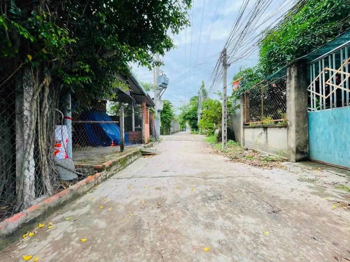 Bán đất Đức Hoà Hạ 155m², mặt tiền 4m, 1 tỷ 350 triệu - Ảnh thu nhỏ 2
