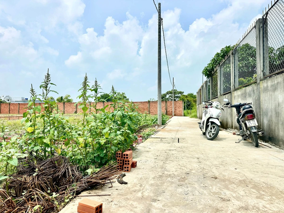 Bán đất nền 107.5m² sổ riêng tại Mỹ Lộc, Cần Giuộc 780 triệu - Ảnh 1