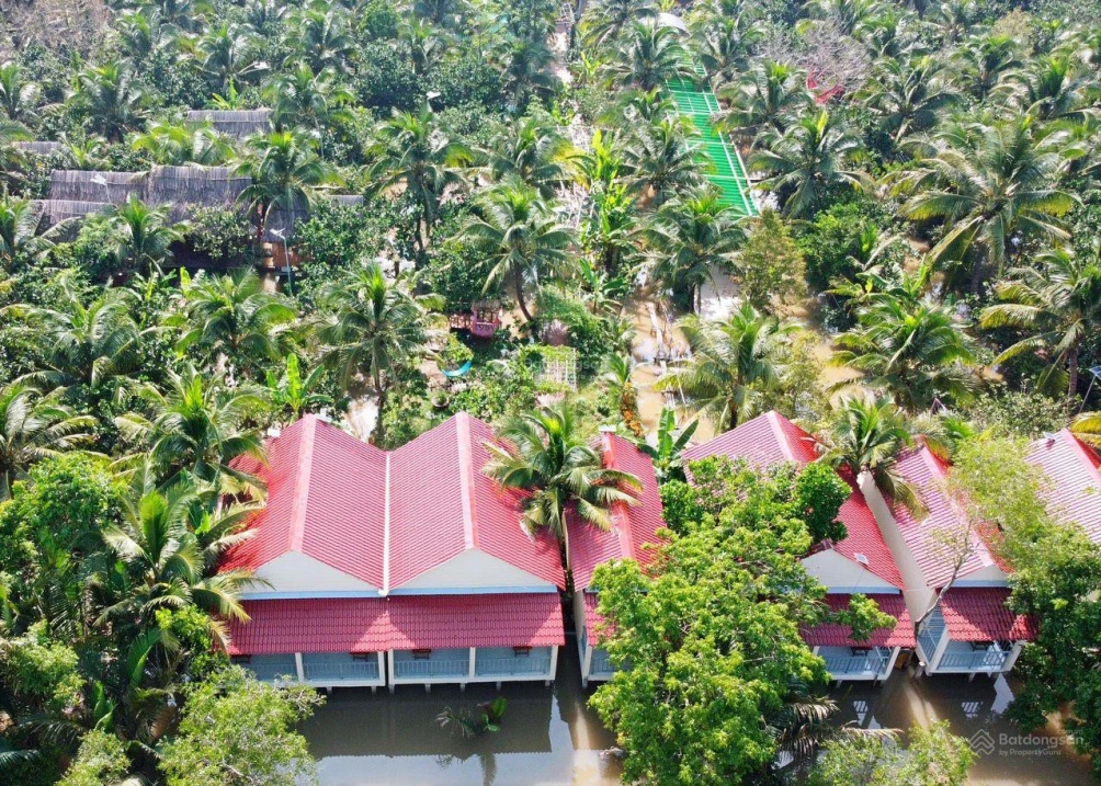 Papa Farm Riverside khu vườn của Ba Hạnh Phúc cho cả nhà đất vườn MT Sông Thành Triệu 1,2 ha - Ảnh thu nhỏ 5