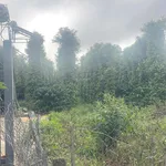 Bán gấp nhà & đất Gia Hiệp, Di Linh, Lâm Đồng (có sẵn dòng tiền 200tr/năm - giá còn thương lượng) - Ảnh thu nhỏ 9