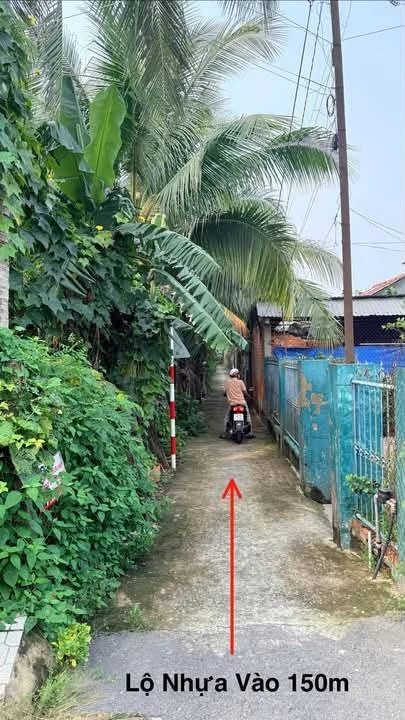 Bán đất Phường Phú Tân Bến Tre 300m² 750 triệu - Ảnh thu nhỏ 4