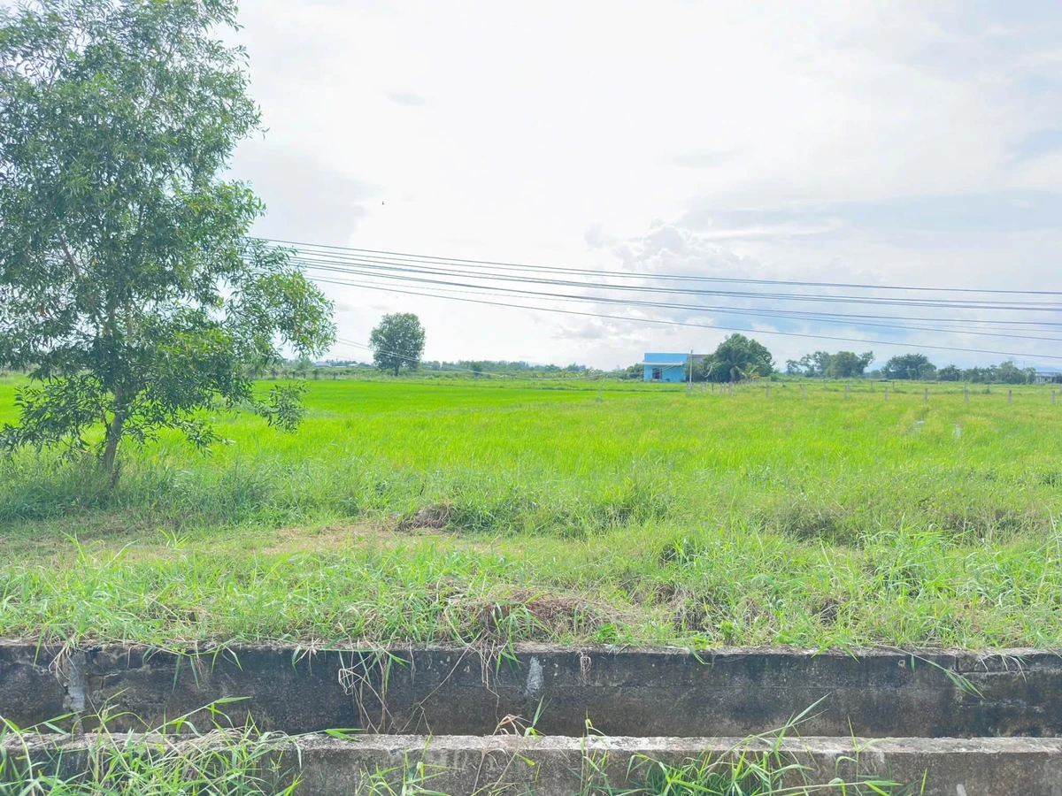 Bán lô đất Hàm Chính 1499m² sổ hồng công chứng - Ảnh thu nhỏ 3