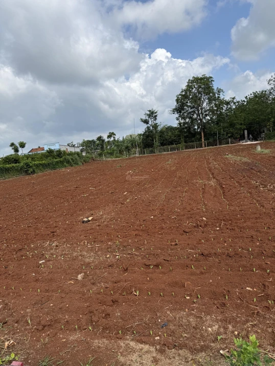 Bán đất Xã Xuyên Mộc gần chợ Xuyên Mộc, diện tích: 6x28m, có 80m2 thổ cư, khu dân cư, đường ô tô - Ảnh thu nhỏ 2