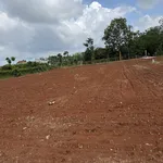 Bán đất Xã Xuyên Mộc gần chợ Xuyên Mộc, diện tích: 6x28m, có 80m2 thổ cư, khu dân cư, đường ô tô - Ảnh thu nhỏ 2