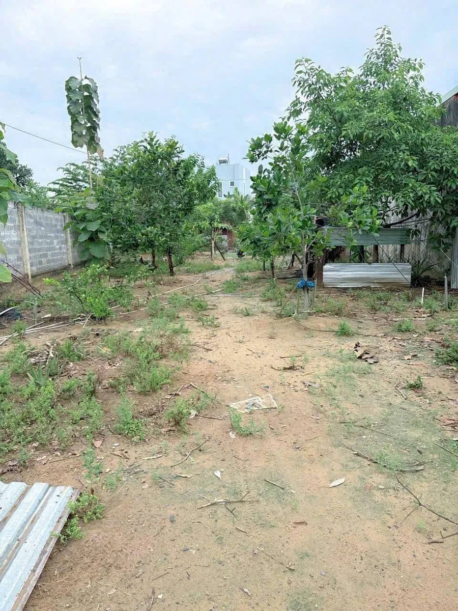 Bán lô đất biệt thự 750m² tại Trảng Dài, Đồng Nai - Ảnh thu nhỏ 4
