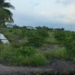 Bán đất vườn 1000m² Tân Thành Thủ Thừa Long An - Ảnh thu nhỏ 1