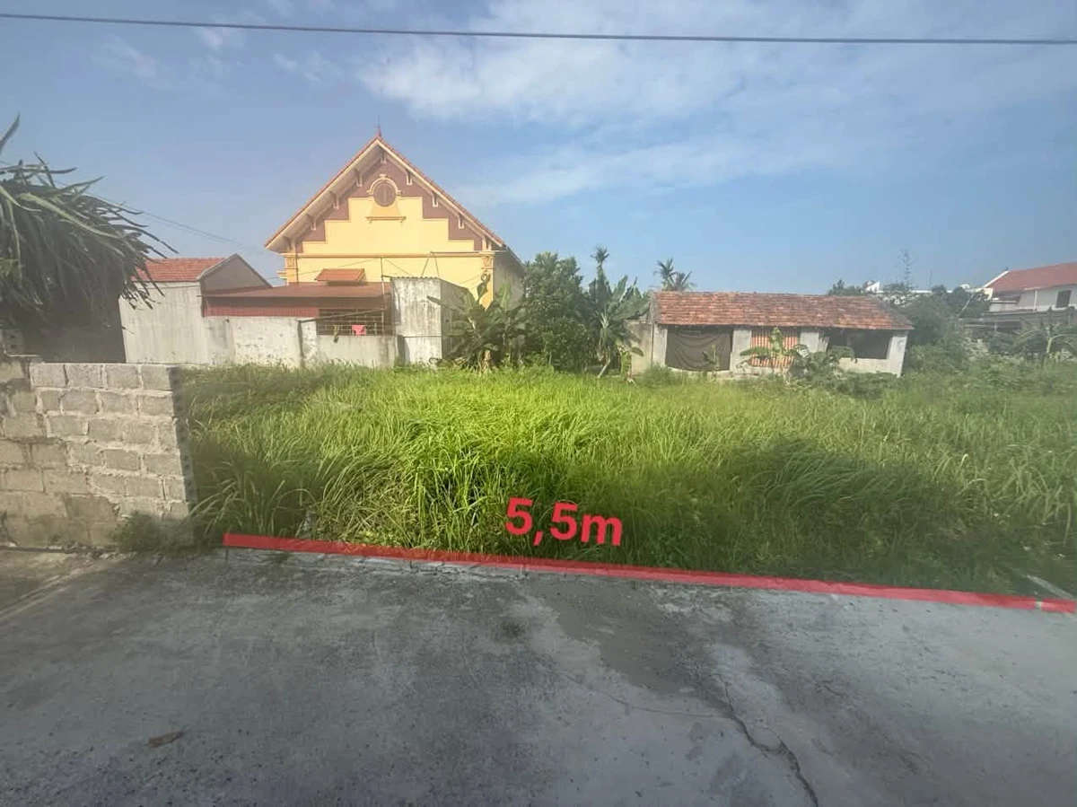 Bán đất 67m2 gần Ga Nam Hải Phòng, Kiến Thụy - Ảnh thu nhỏ 3