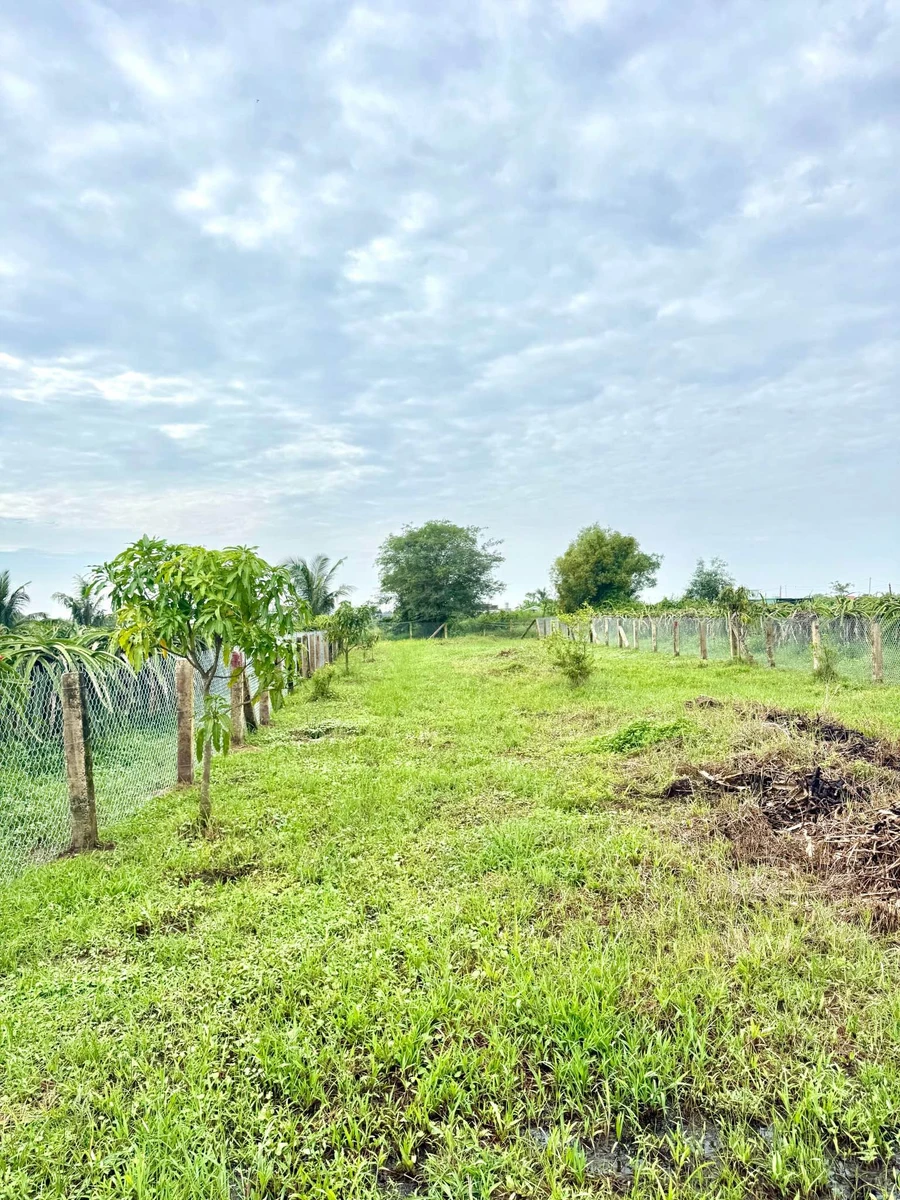 Bán 900m² đất mặt tiền Hàm Liêm, gần Phan Thiết, 479 triệu - Ảnh thu nhỏ 4