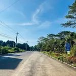 Bán đất 2 mặt tiền đường 19/5, 1000m2, Bình Chánh, 14 tỷ - Ảnh thu nhỏ 3