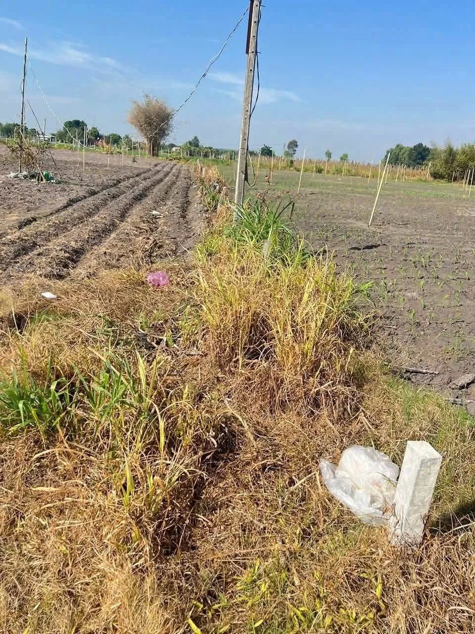 Bán đất Tân Phú Tân Châu Tây Ninh 400m thổ cư 1.7 tỷ - Ảnh 1