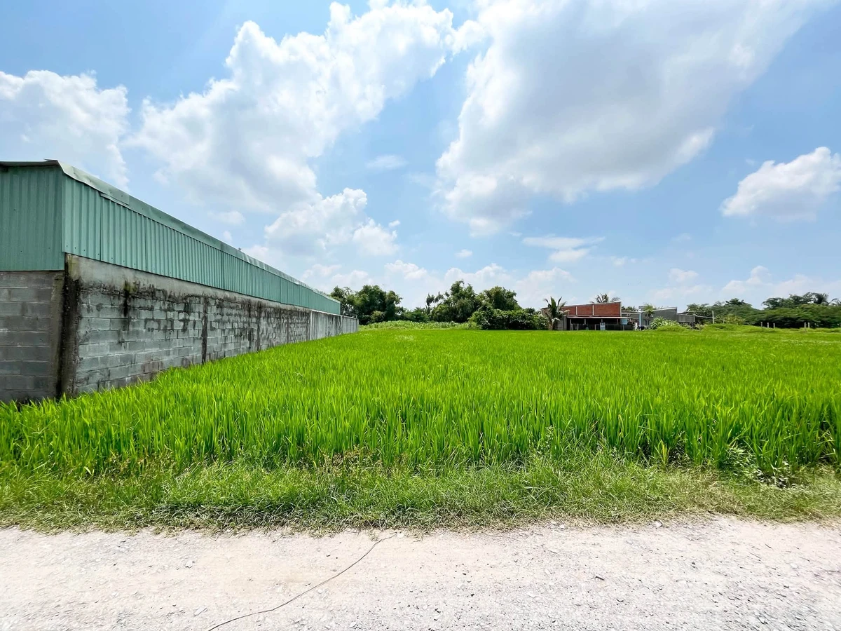 Bán đất Đức Lập Hạ, Đức Hòa, Long An, 2100 m², 3 tỷ 300 - Ảnh thu nhỏ 3