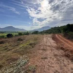 Văn Thủy 2 Cam An Khánh Hòa | hơn 5.000m2 | chỉ 150 triệu/sào - Ảnh thu nhỏ 18