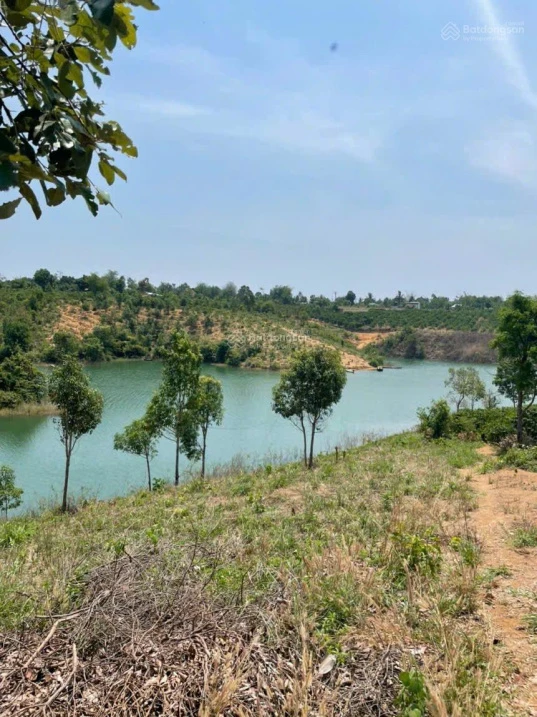 Bán đất view hồ ĐakMa Quảng Ngãi Giá tốt - Ảnh thu nhỏ 4