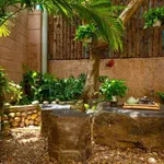 Homestay nhà vườn xinh xắn không gian sống yên bình giữa đồng quê Tuy An - Ảnh thu nhỏ 8