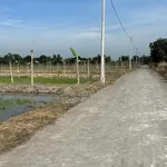 Bán 2081m2 đất Nhánh Kênh 5, Thạnh Lộc, An Giang - Ảnh thu nhỏ 1