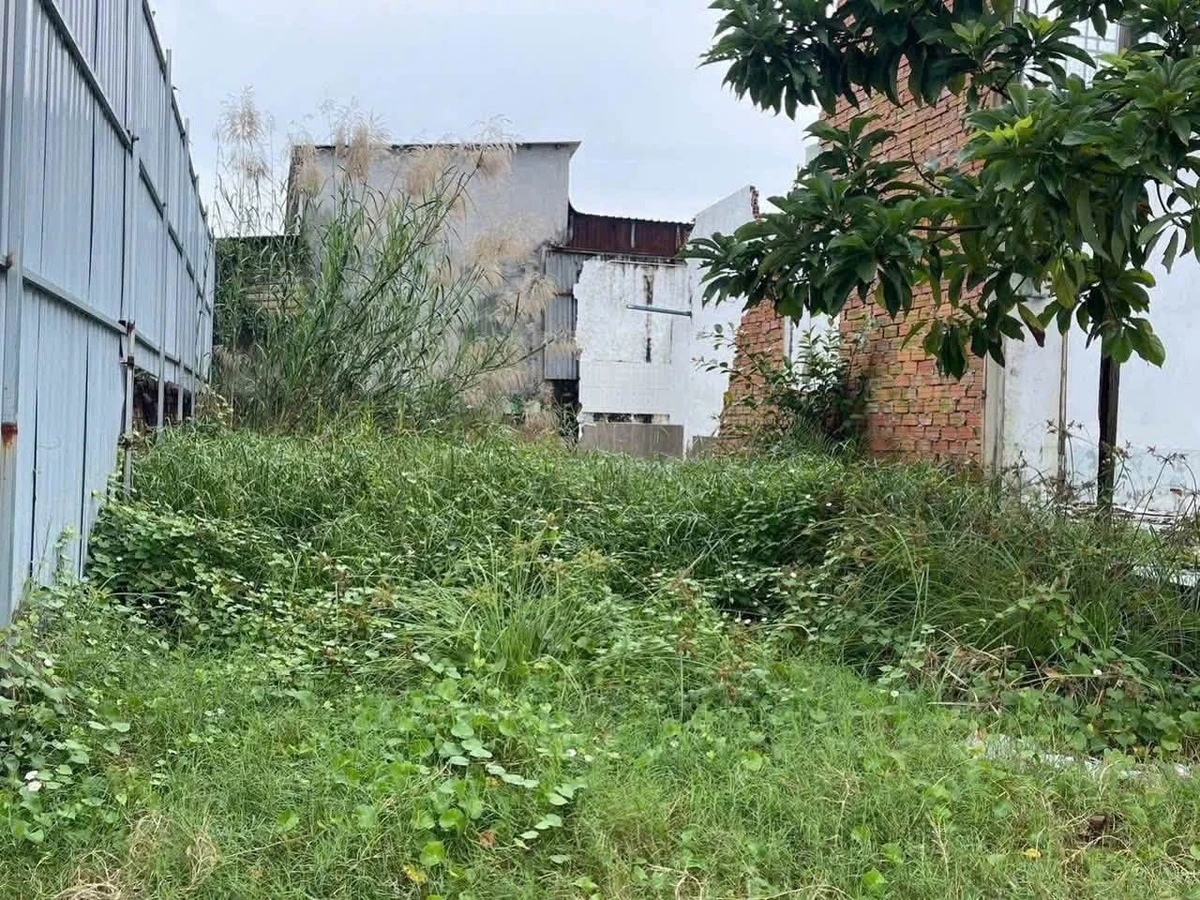 Bán đất thổ 172m2 (9.3x16.3) xã Tân Quý Tây, Bình Chánh, giá 3 tỷ - Ảnh 1