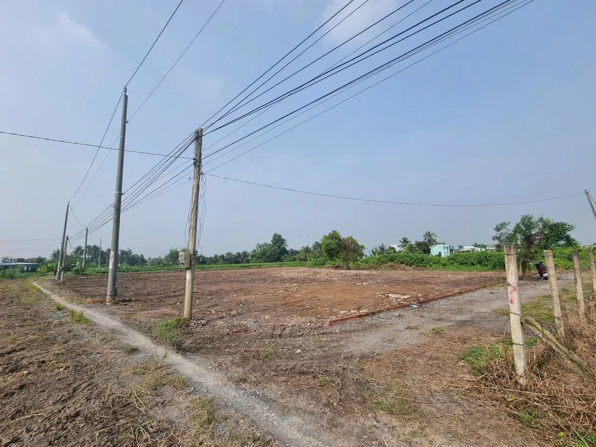 Bán đất thổ cư 1.790m2 3 mặt tiền tại xã Mỹ Lệ, Cần Đước giá 8 tỷ - Ảnh 1