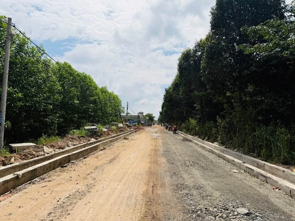 Bán đất 100m² đường số 29 Phường Minh Thành Bình Dương - Ảnh thu nhỏ 2