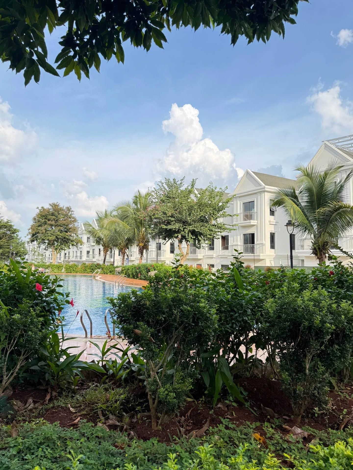 Bán biệt thự song lập Eco City 250m² 12,9 tỷ - Ảnh 1