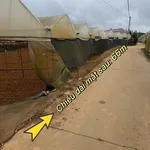 Bán đất nông nghiệp 4.000m² 2 mặt tiền bê tông, nhà kính, gần Hồ Xuân Hương, Đà Lạt - Ảnh thu nhỏ 3