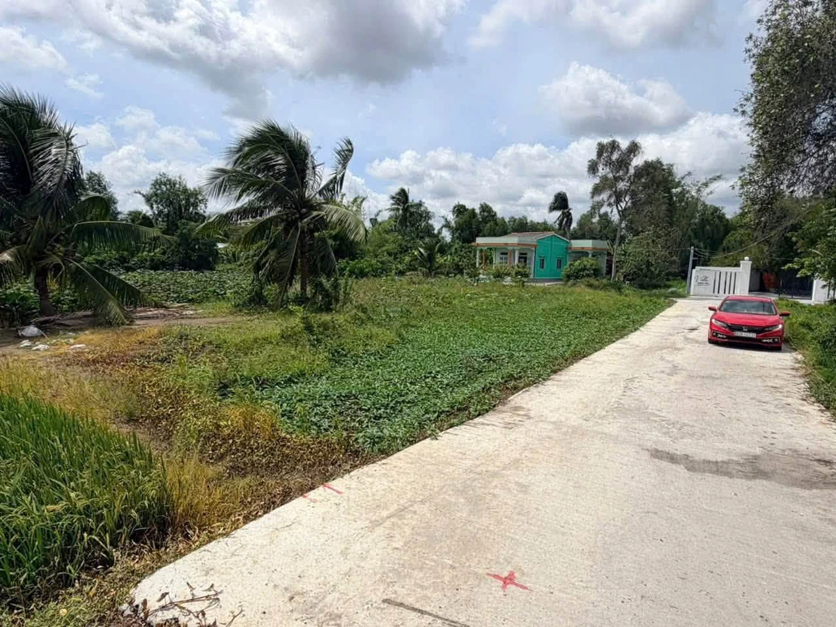 Bán đất ruộng 800m² xây nhà vườn Tân Trụ 1,1 tỷ - Ảnh thu nhỏ 4
