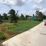 Bán đất ruộng 800m² xây nhà vườn Tân Trụ 1,1 tỷ - Ảnh thu nhỏ 4