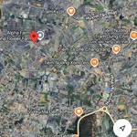 Bán đất nông nghiệp 4.000m² 2 mặt tiền bê tông, nhà kính, gần Hồ Xuân Hương, Đà Lạt - Ảnh thu nhỏ 1