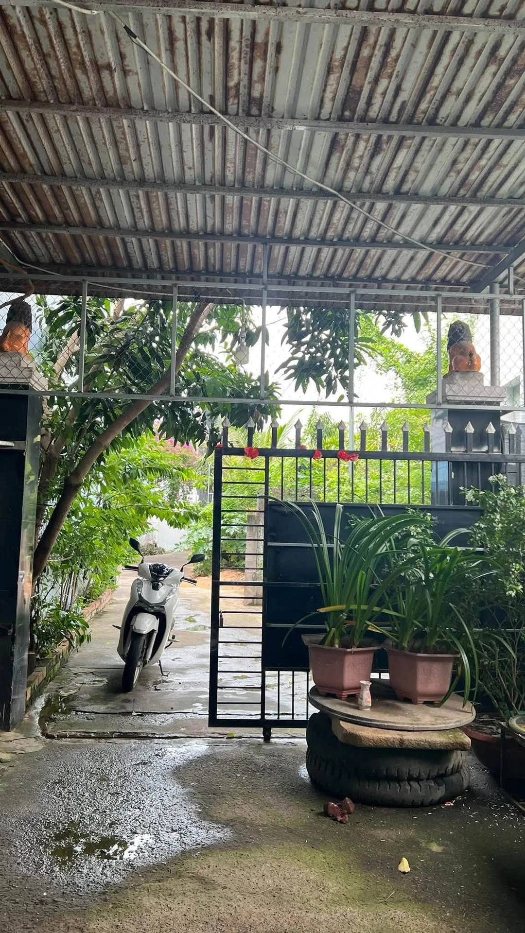 Bán nhà 290m2, 4 phòng ngủ gần Ngã tư Nguyễn Hội, Phan Thiết - Ảnh 1