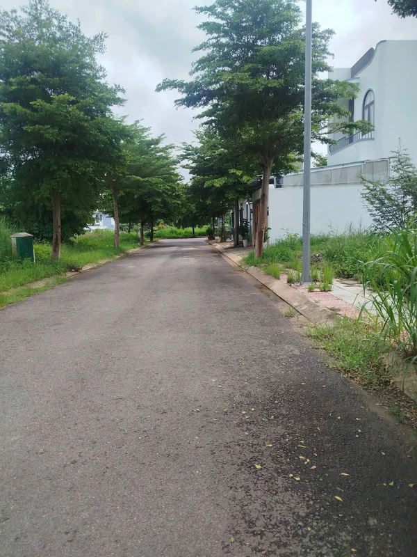 Bán đất KĐT An Phú Sinh Quảng Ngãi 118m² 1,6 tỷ