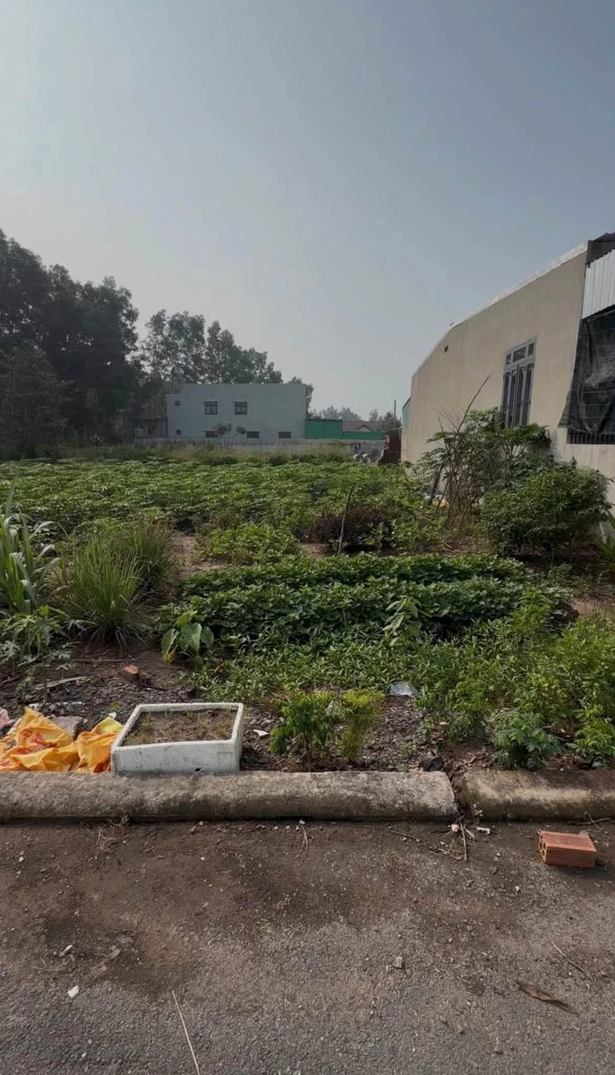 Bán đất thổ cư 147.8m² gần KCN Giang Điền 1 tỷ 270 triệu - Ảnh thu nhỏ 2