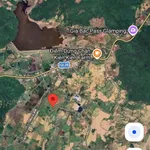 Bán đất 6000m2 trồng cây lâu năm Bình Thuận 1.3 tỷ - Ảnh thu nhỏ 1
